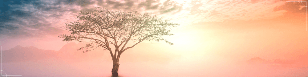 ciel terre